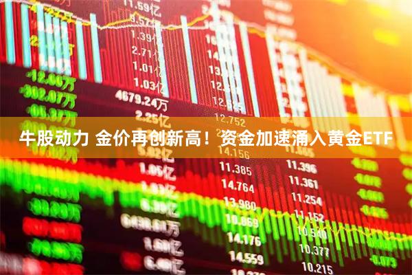 牛股动力 金价再创新高！资金加速涌入黄金ETF