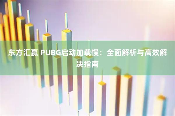 东方汇赢 PUBG启动加载慢：全面解析与高效解决指南