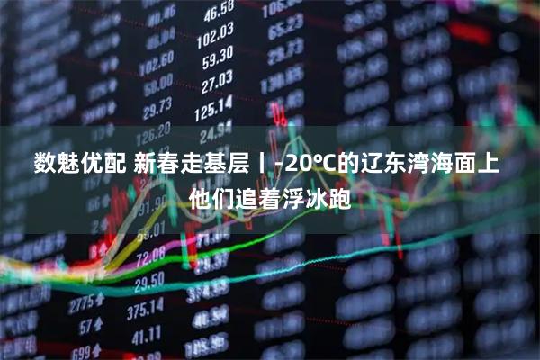 数魅优配 新春走基层丨-20℃的辽东湾海面上 他们追着浮冰跑